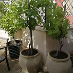 Il Giardino Dei Limoni Bed and breakfast 4*