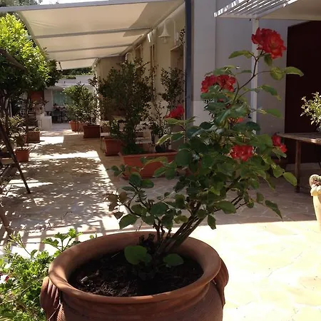 Il Giardino Dei Limoni