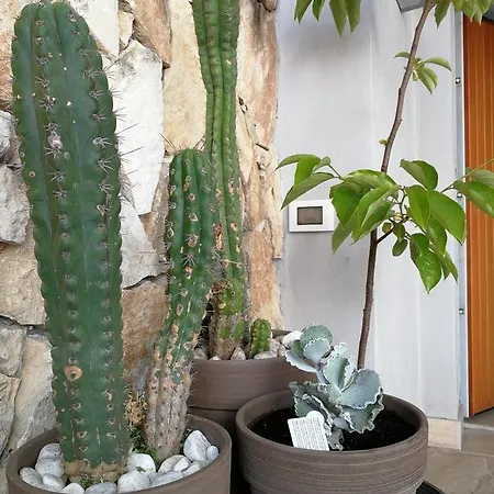 Couette-café Il Giardino Dei Limoni 3*