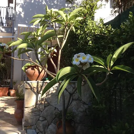 Il Giardino Dei Limoni 4*